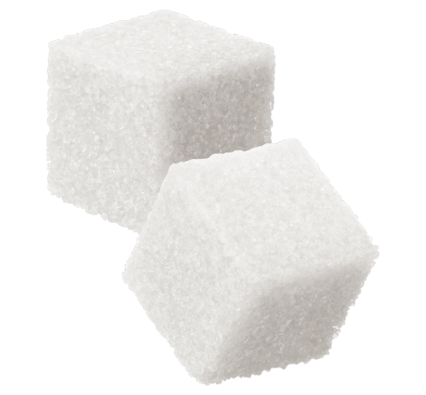 Two white sugar cubes on a white background.
