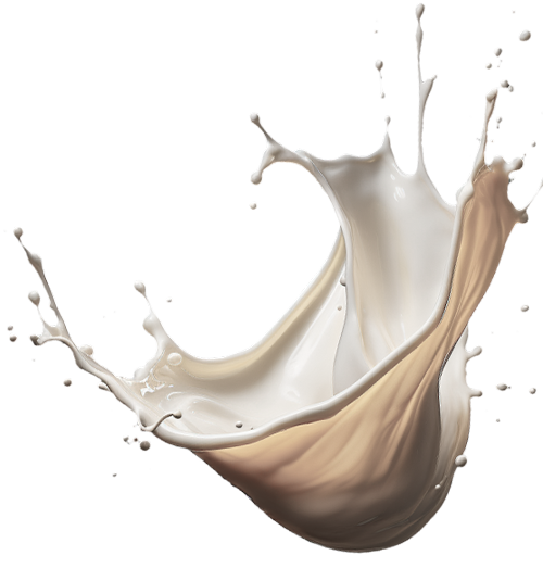 A milk splash on a white background.